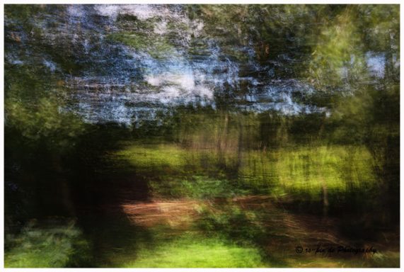 Verschwommene Waldlandschaft mit grünen und braunen Farbtönen.