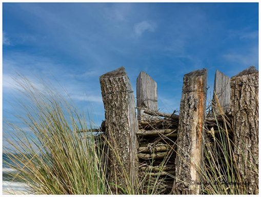 Holzpfosten mit grünem Gras im Vordergrund und blauem Himmel im Hintergrund.